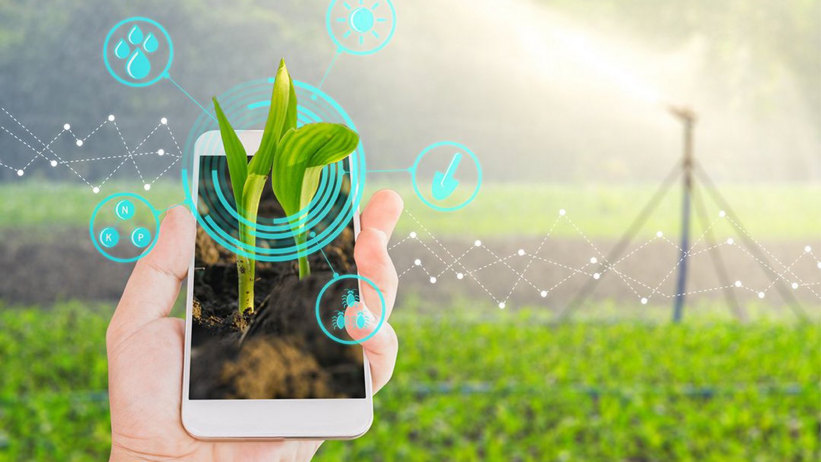 SEVAL FARM<br>Nông nghiệp chính xác