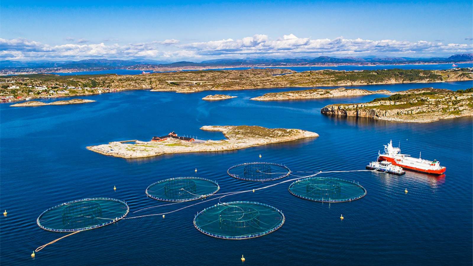 SEVAL AQUA<br>Quan trắc và Nuôi trồng thủy sản